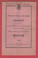 Carnet Sur Le Travail Des Femmes Et Des Enfants / Borgniet Micherl, Originaire De Carnières / 14 Ans ( Voir Verso ) - Morlanwelz