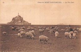 50-LE MONT SAINT MICHEL-N°5183-F/0079 - Le Mont Saint Michel