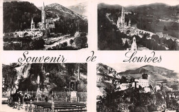 65-LOURDES-N°5183-D/0313 - Lourdes