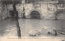 75-PARIS INONDATIONS 1910 LA FOSSE AUX OURS DU JARDIN DES PLANTES-N°5184-F/0259 - Überschwemmung 1910