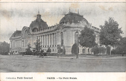 75-PARIS LE PETIT PALAIS-N°5184-F/0243 - Autres & Non Classés