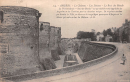 49-ANGERS-N°5185-D/0187 - Angers