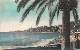 06-MENTON-N°5185-D/0041 - Menton