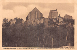 78-CHEVREUSE-N°5185-D/0001 - Chevreuse