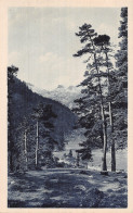 65-CAUTERETS-N°5186-A/0125 - Cauterets