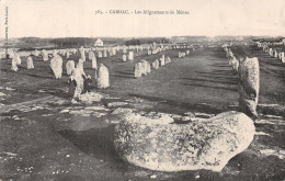 56-CARNAC-N°5186-C/0357 - Carnac