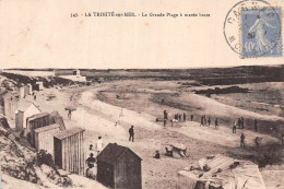 56-LA TRINITE SUR MER-N°5186-H/0049 - La Trinite Sur Mer