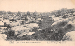 77-FONTAINEBLEAU LA FORET-N°5186-F/0103 - Fontainebleau