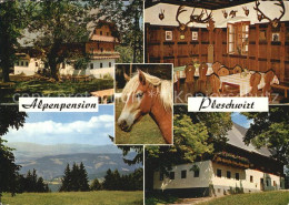 72410645 Rein Steiermark Alpenpension Pleschwirt Gastraum Panorama   - Autres & Non Classés