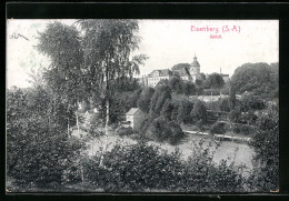 AK Eisenberg I. S.-A., Blick Auf Das Schloss  - Eisenberg