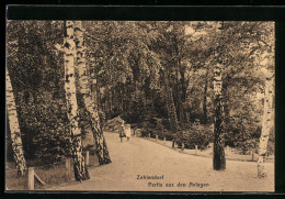 AK Berlin-Zehlendorf, Partie Aus Den Anlagen  - Zehlendorf