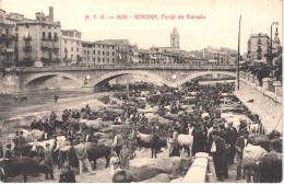 ES GERONA - ATV 1636 - Ferial De Ganado - Foire Aux Bovins - Animée - Belle - Gerona