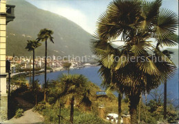 72409948 Cannobio Lago Maggiore Blick Auf Den See Italien - Other & Unclassified