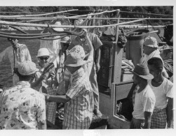 Photographie Vintage Photo Snapshot Malcom Island Scaphandrier Pêcheur Perles - Bateaux