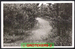 NES Op AMELAND Bospartij 1952 - Ameland