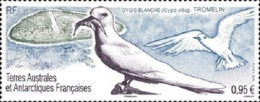 2019 1004 TAAF Birds - White Tern MNH - Unused Stamps