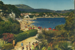 Bandol - La Plage Du Casino - (P) - Bandol