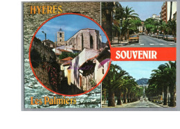 HYERES 83 - Souvenir Les Palmiers Vieille Rue Allée 1985 - Hyeres