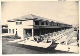 Grande Photo SNCF Gare De Marseille Saint Charles Reconstruite Après Seconde Guerre Mondiale WW2 24x18 Cm - Trains