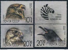 Russia B166-B168 Singles, MNH. Michel 6079-6081. ZOO Relief Fund, 1990. - Neufs