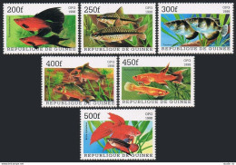 Guinea 1999 Year,6 Stamps + Sheet,MNH. Fish. - Guinea (1958-...)