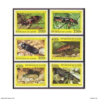 Guinea 1998 Year 6 Stamps,sheet,MNH. Beetles,Flowers. - Guinée (1958-...)