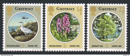 Guernsey 331-333, MNH. Michel 358-360. EUROPE CEPT-1986. Gannet, Orchid, Elm, - Guernsey