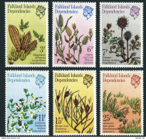 Falkland Depend 1L53-1L58, MNH. Michel 93-98. Plants 1981. - Falkland