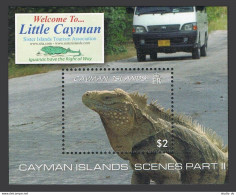 Cayman 1044 Sheet, MNH. Tourism 2009. Island Scenes: Iguana. - Caimán (Islas)