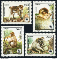 Algeria 872-875, MNH. Mi 972-975. WWF 1988.Monkeys:Barbaty Apes,Macaca Sylvanus. - Argelia (1962-...)