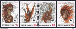 Indonesia 1380-1383, MNH. Michel 1291-1294. WWF 1989. Orangutans. - Indonesia