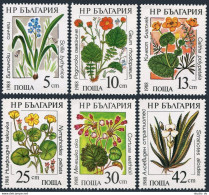 Bulgaria 3300-3305,3305a Sheet,MNH.Michel 3628-3633,klb. Marine Flowers,1988. - Nuevos