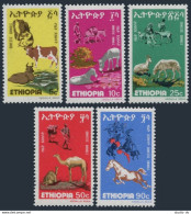 Ethiopia 869-873, MNH. Mi 960-964. 1978. Cattle, Mule, Goat, Dromedary, Horses. - Etiopia