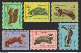 Bulgaria 1261-1266, MNH. Mi 1377-1382. 1963. Red Squirrel,Hedgehog, Marten,Otter - Ongebruikt