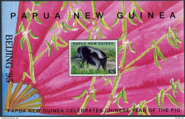 Papua New Guinea 883, MNH. Mi Bl.8. New Year, Lunar Year Of Boar. BEIJING-1995. - Guinea (1958-...)