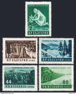 Bulgaria 977-981, MNH. Mi 1035-1039. Forest 1957. Planting, Red Deer, Dam, Lake. - Unused Stamps