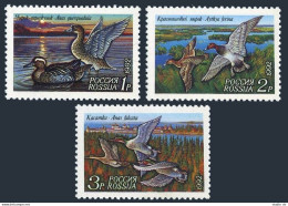 Russia 6090-6092,6092a Sheet,MNH.Michel 254-256,klb. Ducks 1992.Anas Falcata, - Unused Stamps