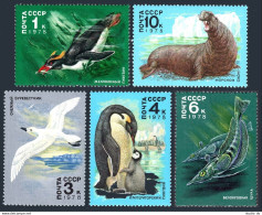 Russia 4679-4683, MNH. Mi 4742-4746. Antarctic Fauna,1978. Penguins,Sea Elephant - Unused Stamps