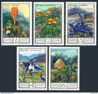 Russia 4505-4509, MNH. Michel 4545-4549. Flowers Of The Caucasus, 1976. - Unused Stamps