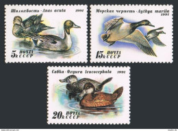 Russia 6009-6011,6011a Sheet,MNH.Michel 6210-6212,klb. Ducks-1991:Anas Acuta, - Nuovi