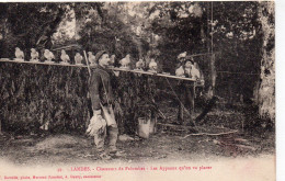 Les Landes Animée Chasseurs De Palombes Les Appeaux En Place Chasse Gibier - Andere & Zonder Classificatie