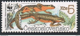 Czechoslovakia 2751, MNH. Michel 3010. WWF 1989. Newt Triturus Montandoni. - Nuovi