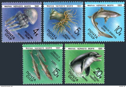 Russia 5954-5958, MNH. Michel 6158-6162. Marine Life 1991. Dolphin, Fish. - Unused Stamps