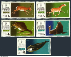 Russia 4196-4200, MNH. Fauna Of USSR, 1974. Saiga, Koulan,Desman,Sea Lion,Whale. - Neufs