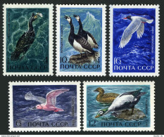 Russia 3939-3943, MNH. Mi 3974-3978. Waterfowl In USSR 1972. Gering's Cormorant, - Neufs