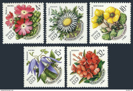 Russia 4943-4947, MNH. Michel 5074-5078. Flowers Of Carpathian Mountains, 1981. - Unused Stamps