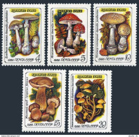 Russia 5454-5458,MNH.Michel 5603-5607. Mushrooms 1986. - Nuevos
