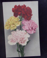 1321 THEME . LOT DE TROIS  CARTES .  FLEURS  . A VOIR - Fleurs