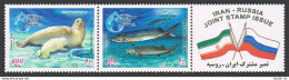 Iran 2873 Pair,2873c Sheet,MNH. Caspian Sea Fauna:Caspian Seal,Beluga.2003. - Iran