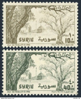 Syria C226-C227, MNH. Michel 707-708. Day Of The Tree, 1956. Tree And Mosque. - Syrie
